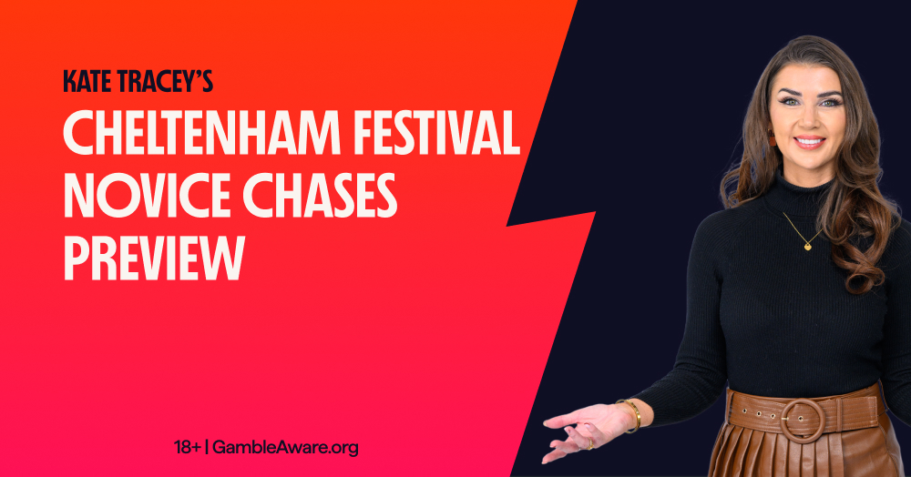 Sir Gino OUT – How it effects the four Novice Chases at the Cheltenham Festival